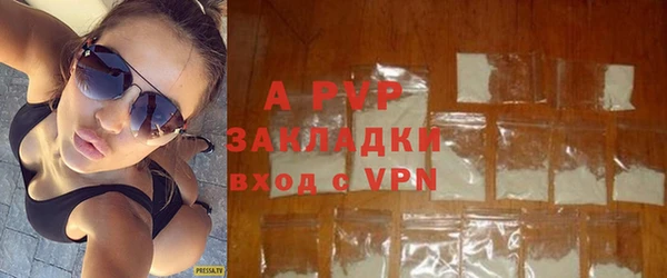 спайс Арсеньев